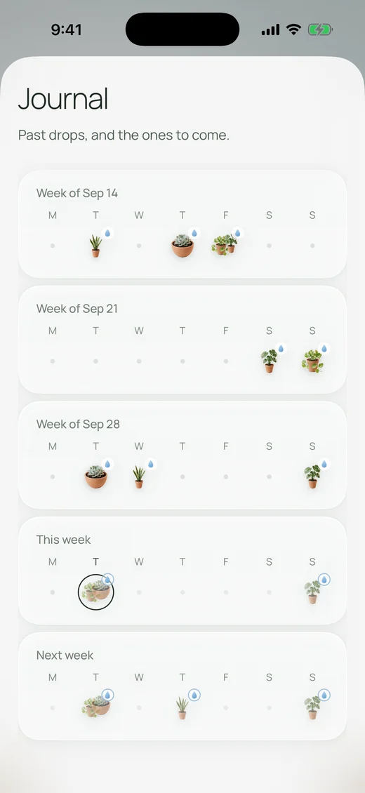 The journal: five weeks, with the plants watered each day